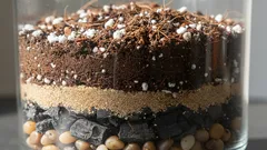 Zamioculcas uspijeva u svijetlom, dobro dreniranom tlu – napravimo ga sami